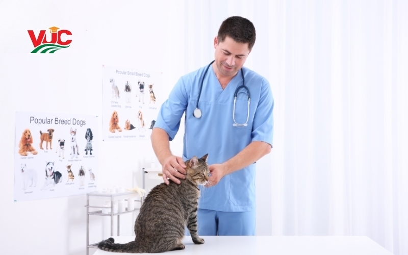 Hình thức học liên thông Bác sĩ Thú y