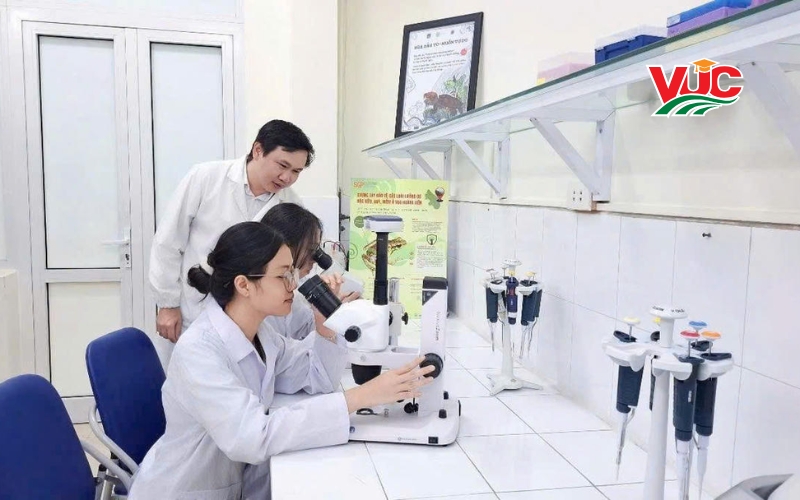Đăng ký khóa học Trung cấp học cuối tuần - Đang mở lớp 5 Học hệ Trung cấp học cuối tuần là học như thế nào?