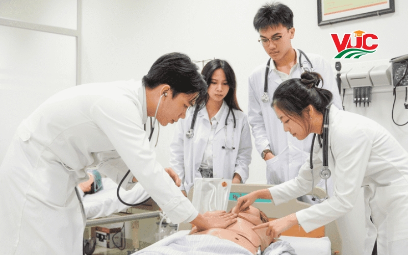 Khóa đào tạo Cao đẳng học online nhận bằng chính quy 6 Đăng ký học Cao đẳng online uy tín, thủ tục nhanh gọn tại Trường trung cấp bách khoa việt úc
