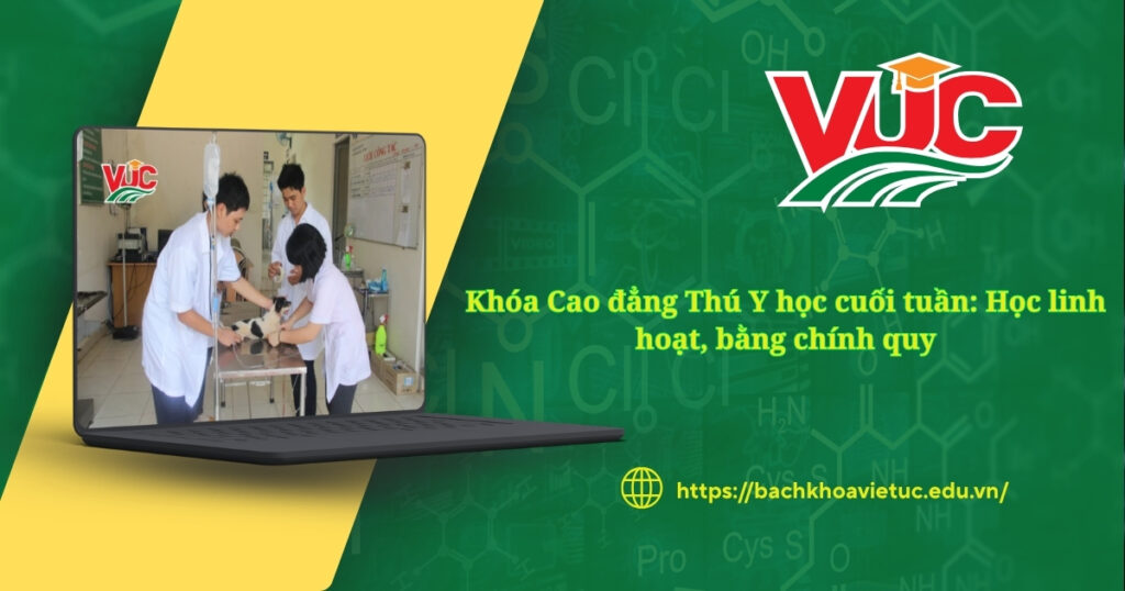 Khóa Cao đẳng Thú Y học cuối tuần: Học linh hoạt, bằng chính quy 