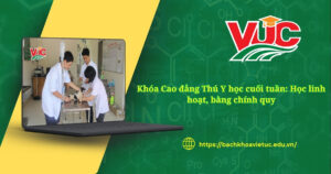 Khóa Cao đẳng Thú Y học cuối tuần: Học linh hoạt, bằng chính quy 