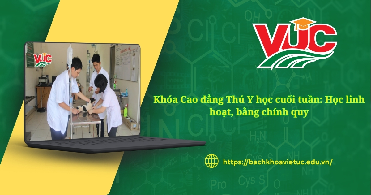 Khóa Cao đẳng Thú Y học cuối tuần: Học linh hoạt, bằng chính quy 