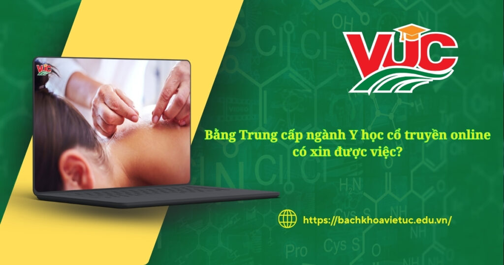 Bằng Trung cấp ngành Y học cổ truyền online có xin được việc? 4 Bằng Trung cấp ngành Y học cổ truyền online có xin được việc?