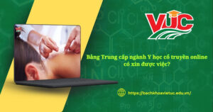Bằng Trung cấp ngành Y học cổ truyền online có xin được việc?