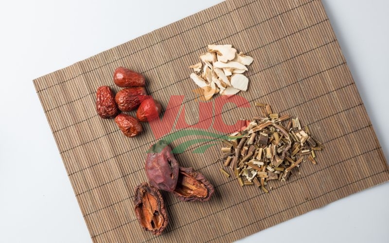 Bằng Trung cấp ngành Y học cổ truyền online có xin được việc? 7 Thông tin bằng trung cấp ngành y học cổ truyền online