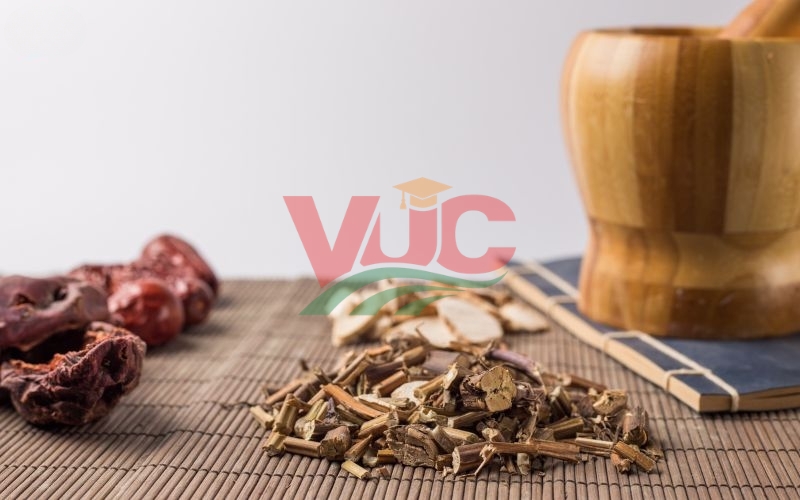 Bằng Trung cấp ngành Y học cổ truyền online có xin được việc? 6 Lợi ích việc học lấy bằng trung cấp ngành y học cổ truyền online