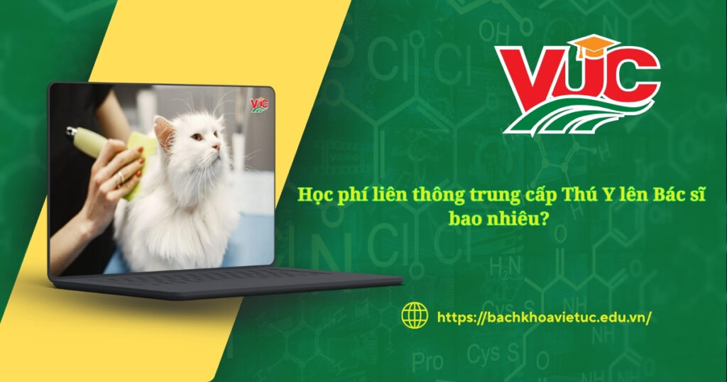Học phí liên thông trung cấp Thú Y lên Bác sĩ bao nhiêu? 4 Học phí liên thông trung cấp Thú Y lên Bác sĩ bao nhiêu?