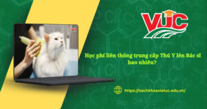 Học phí liên thông trung cấp Thú Y lên Bác sĩ bao nhiêu?