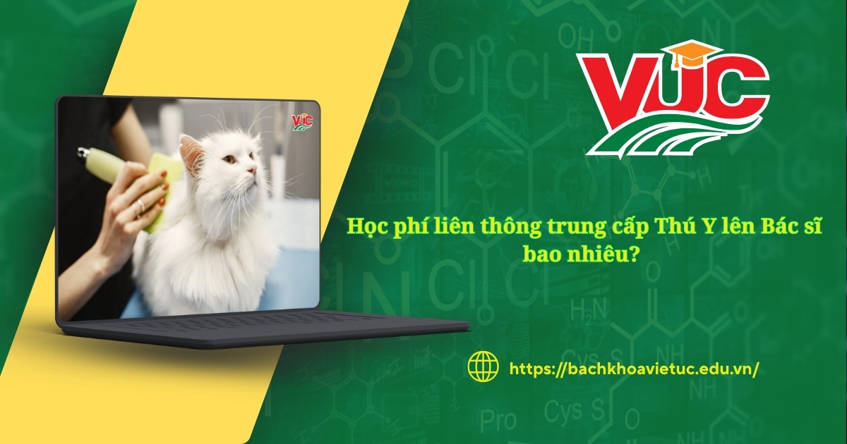 Học phí liên thông trung cấp Thú Y lên Bác sĩ bao nhiêu?