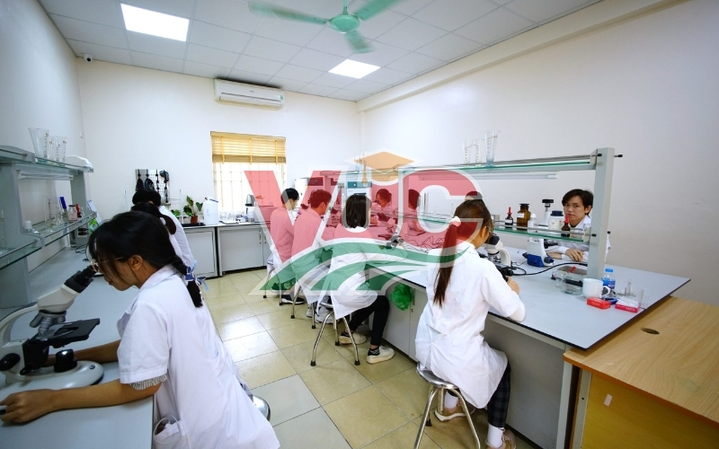 Nên chọn học ở đâu uy tín?