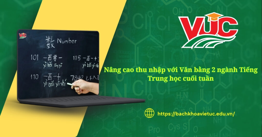 Nâng cao thu nhập với Văn bằng 2 ngành Tiếng Trung học cuối tuần 4 Nâng cao thu nhập với Văn bằng 2 ngành Tiếng Trung học cuối tuần
