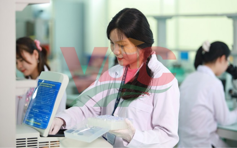 Nên học Dược hệ Trung cấp ở đâu uy tín và rẻ?