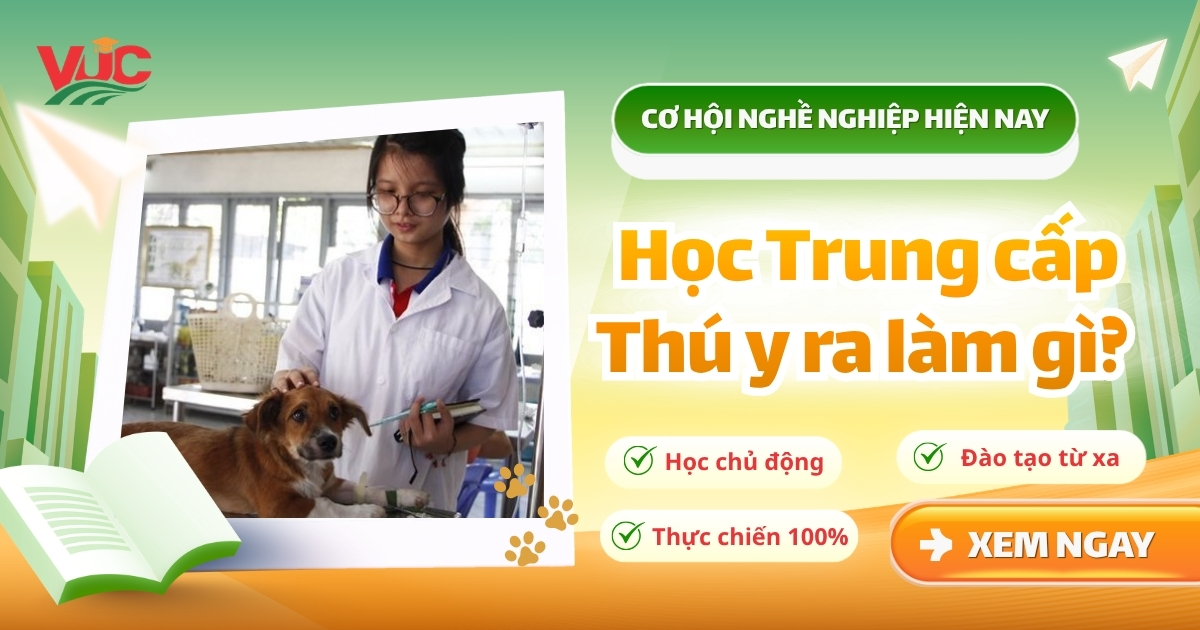 Học Trung cấp Thú y ra làm gì? Tương lai nghề nghiệp 
