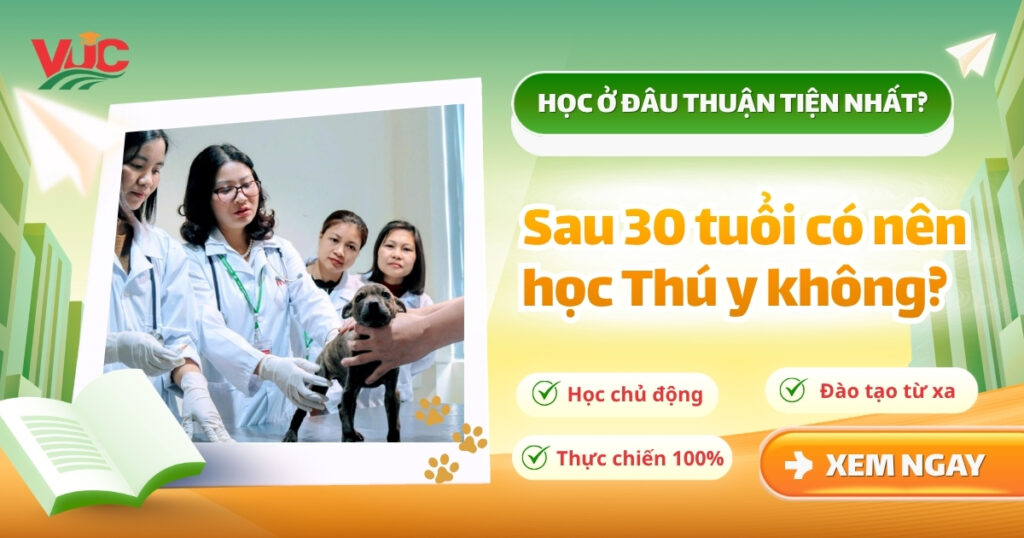 Sau 30 tuổi có nên học Thú y không? Nên học ở đâu thuận tiện