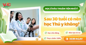 Sau 30 tuổi có nên học Thú y không? Nên học ở đâu thuận tiện
