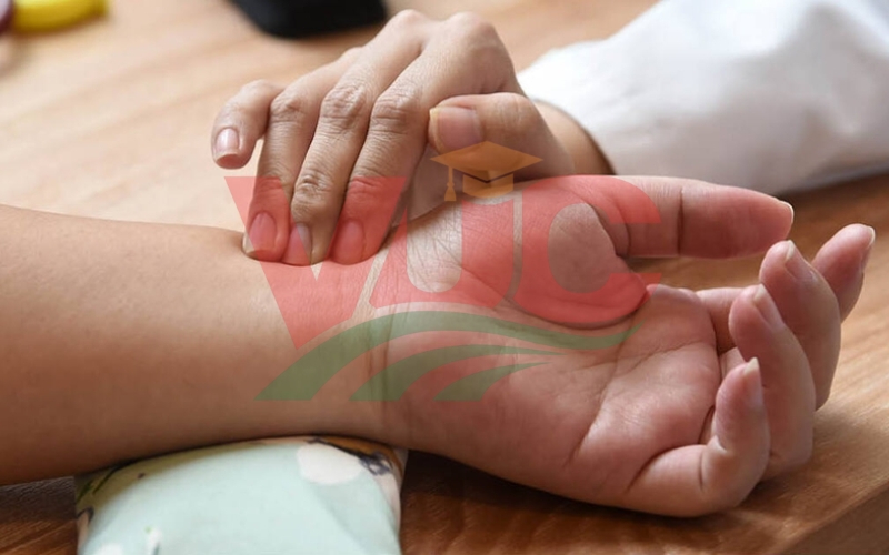 Học Cao đẳng có liên thông lên bác sĩ Y học cổ truyền được không? 5 Thông tin về Bác sĩ Y học cổ truyền