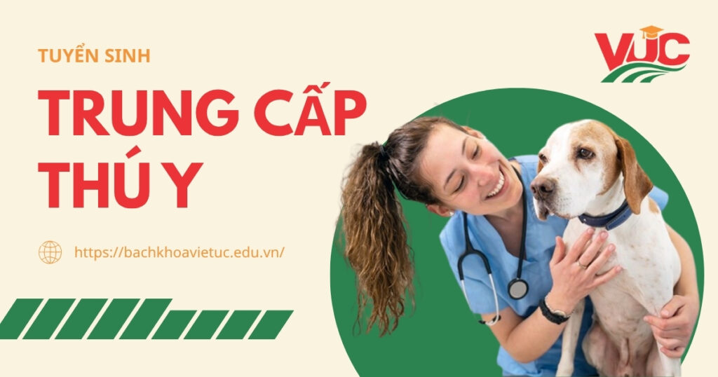 Khóa học Trung cấp thú y Online, lịch học linh hoạt 4 Trung cấp Thú y Online