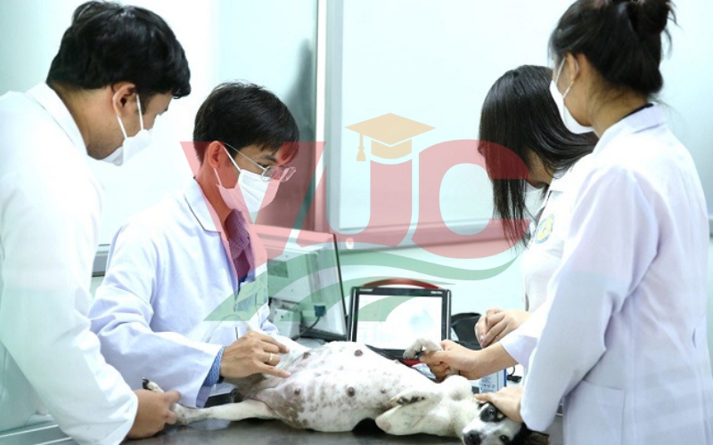 Một số trường Cao đẳng Thú y TPHCM uy tín