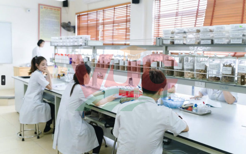 Điều kiện đăng ký học Trung cấp Y học cổ truyền Online