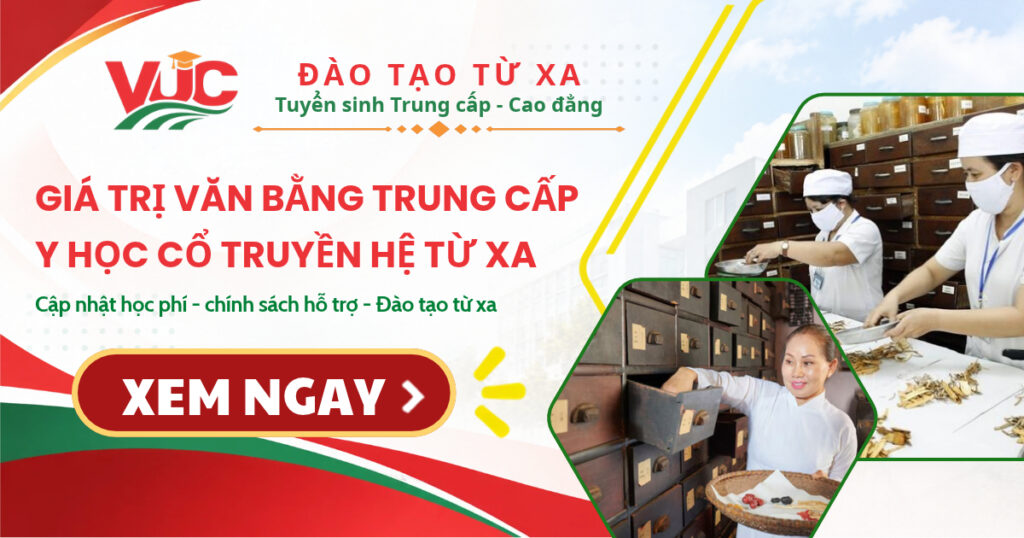 Giá trị văn bằng Trung cấp y học cổ truyền hệ Từ xa 4 Giá trị văn bằng Trung cấp y học cổ truyền hệ Từ xa