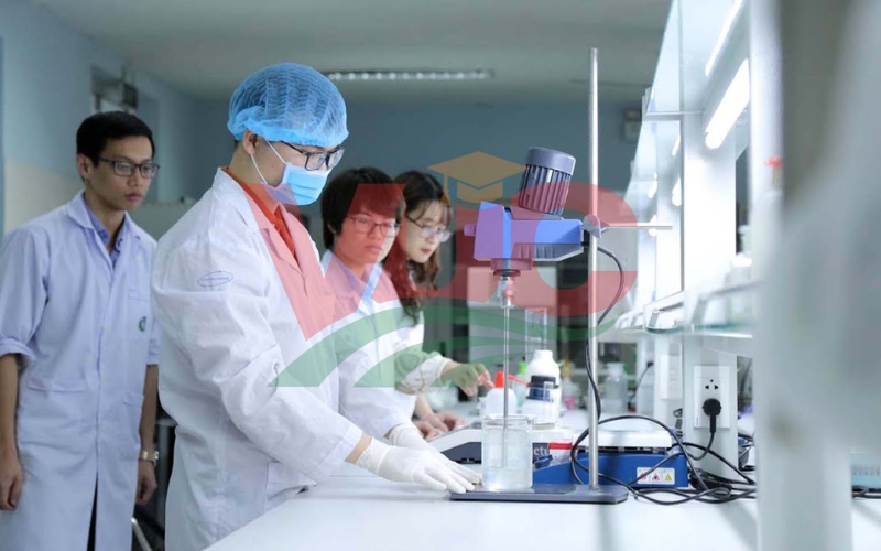 Có nên học Dược sĩ online? Học online được cấp bằng không? 7 Học Dược sĩ Online có được cấp bằng không?