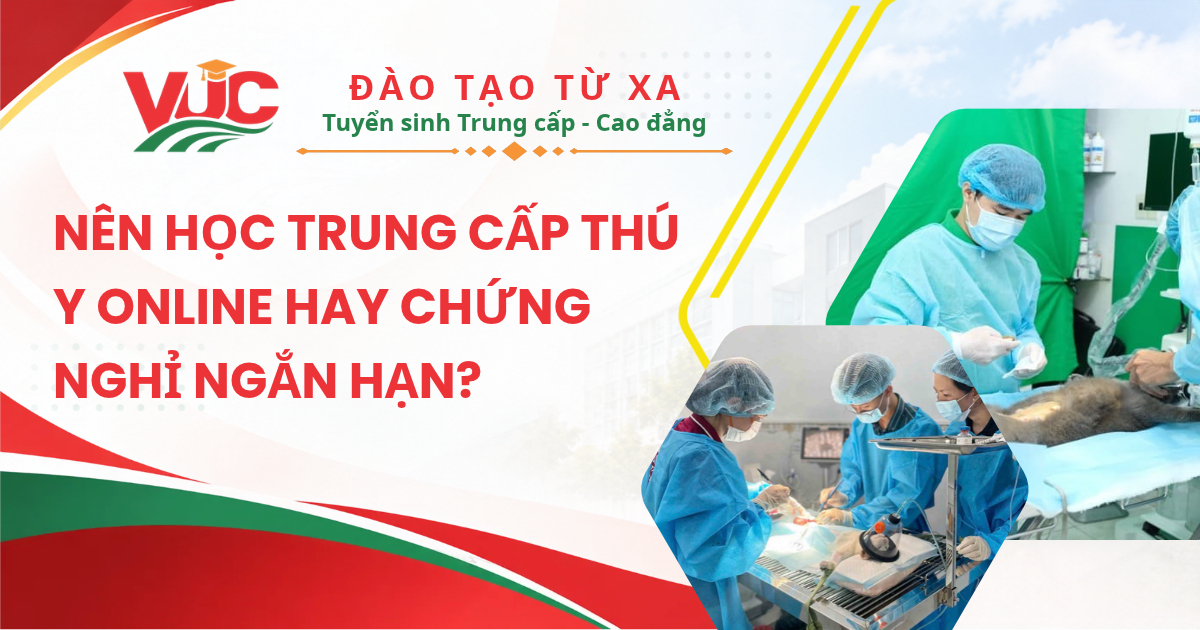 học Trung cấp Thú y Online
