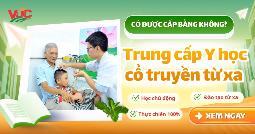Học Trung cấp Y học cổ truyền từ xa được cấp bằng không?
