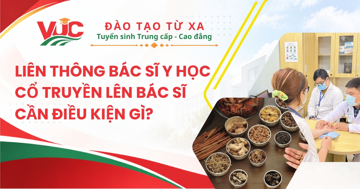 Học liên thông Bác sĩ Y học cổ truyền cần điều kiện gì?