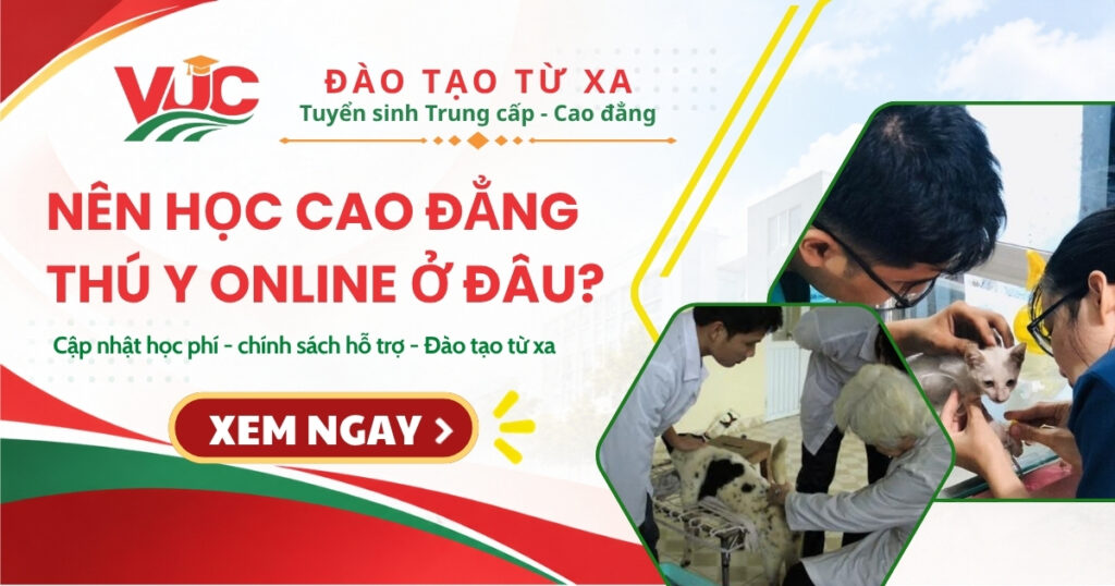 Nên học Cao đẳng Thú y Online ở đâu?