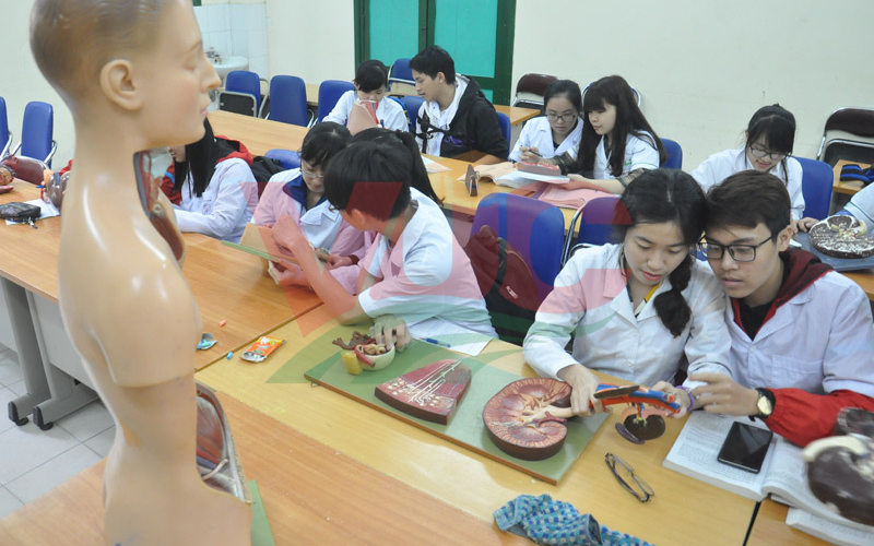Thời gian học Trung cấp Y tế ra sao?
