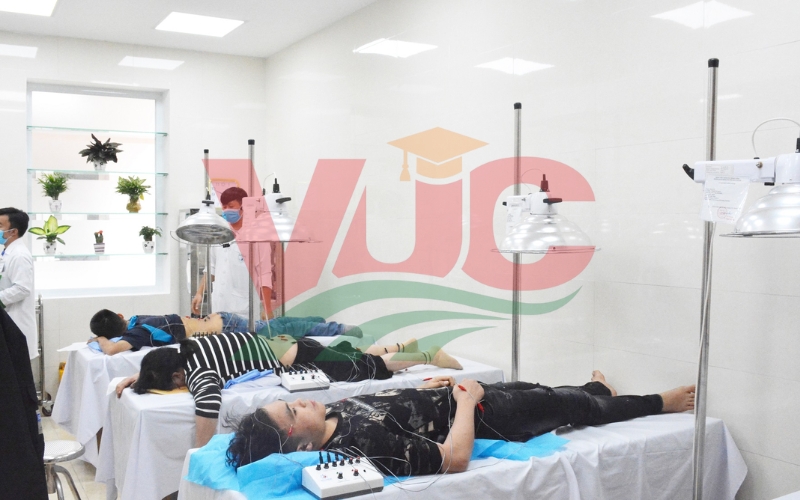 Vì sao chương trình Cao đẳng Y học cổ truyền tại VUC phù hợp với người bận rộn?